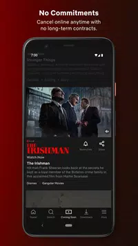 Netflix screen 5
