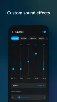 Music Player - Lark Player screen 5